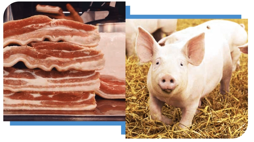 Screen Shot 2022-03-10 at 12.35.56 PM