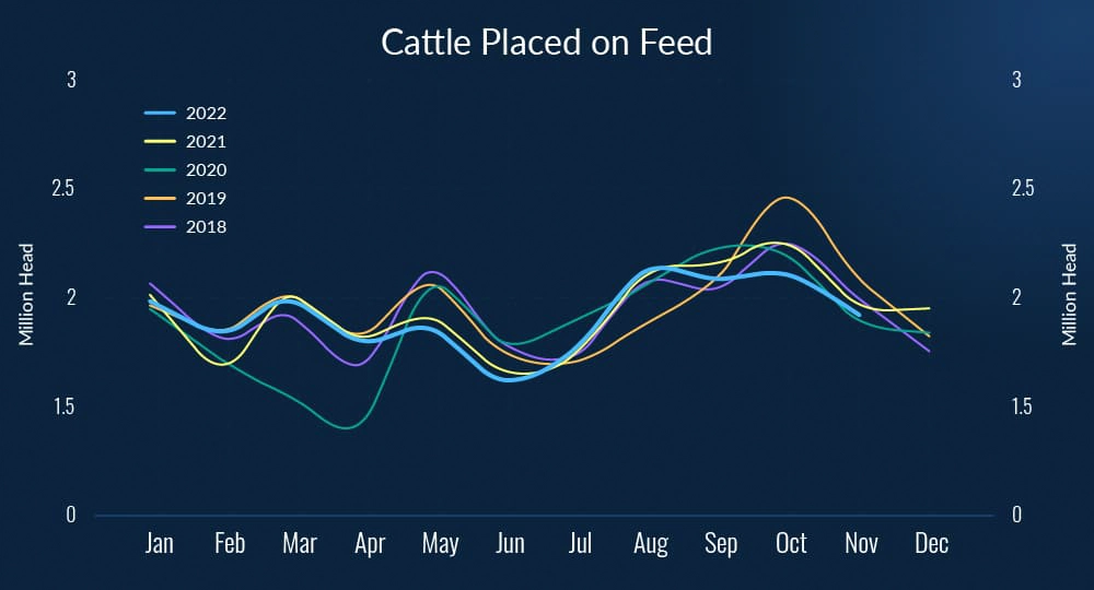 Figure-3.-Cattle-Placed-on-Feed