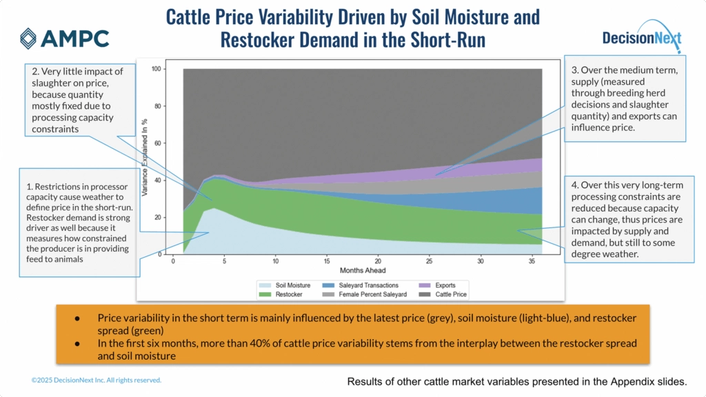 Chart graphic cattle price variability driven by soil moisture